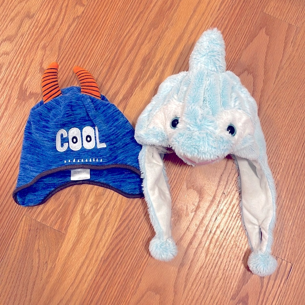 Fun Winter hat